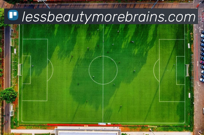 体育数据展示
