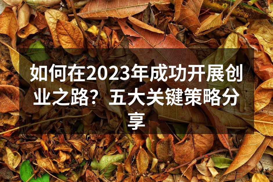 如何在2023年成功开展创业之路？五大关键策略分享