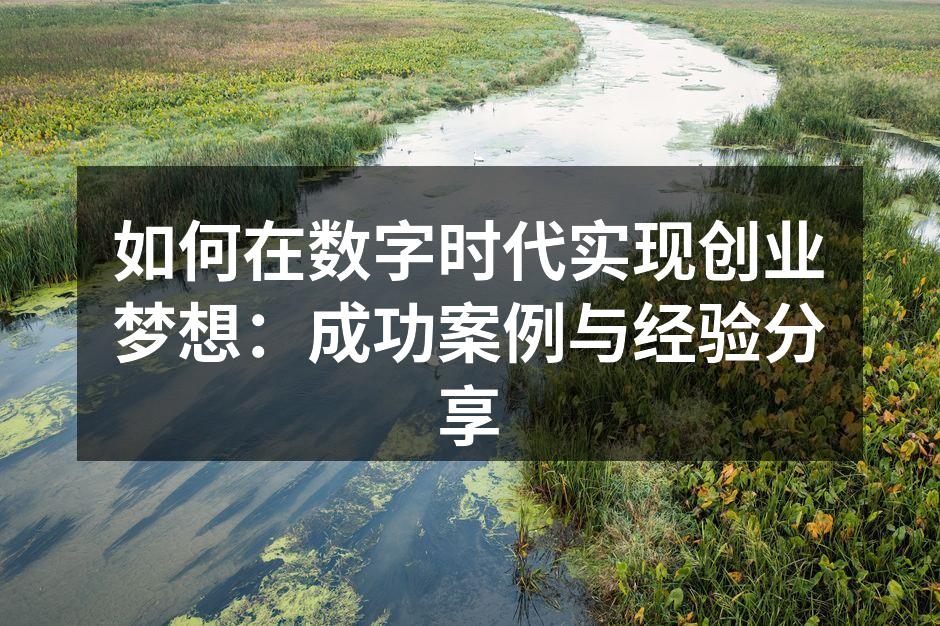 如何在数字时代实现创业梦想：成功案例与经验分享